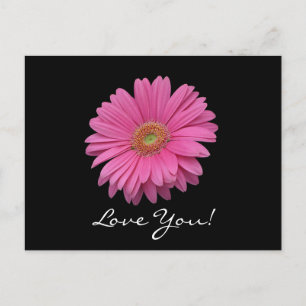 Gerbera Daisy Kärlek You Postcard Vykort