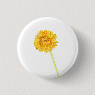 Gerbera daisy knapp