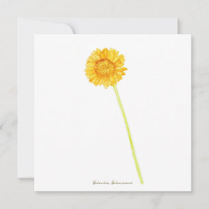 Gerbera daisy kort