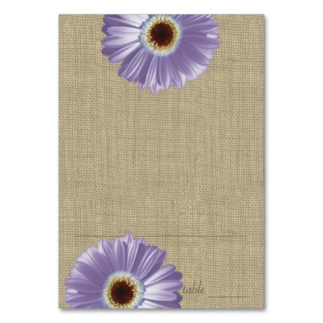 Gerbera Daisy Lila SeEG-kort Bordsnummer (Framsidan)