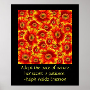 Gerbera Daisy med citat Poster