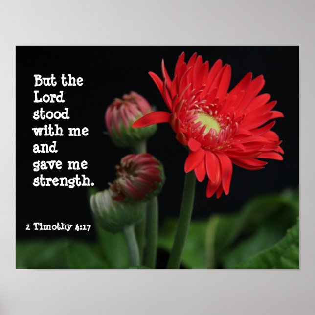 Gerbera Daisy med klocka (Timothy 4:17) Poster (Framsidan)