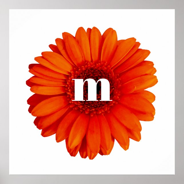Gerbera Daisy Monogram Initial Poster (Framsidan)
