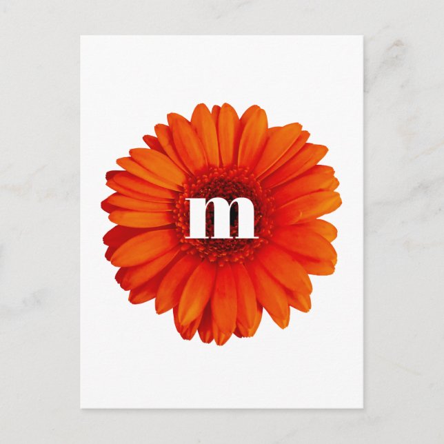 Gerbera Daisy Monogram Initial Vykort (Framsida)