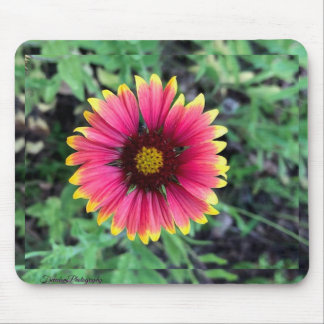 Gerbera Daisy Mouse Pad Musmatta