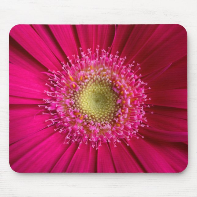 Gerbera Daisy Mouse Pad Musmatta (Framsidan)