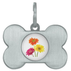 Gerbera Daisy Namnbricka Husdjur