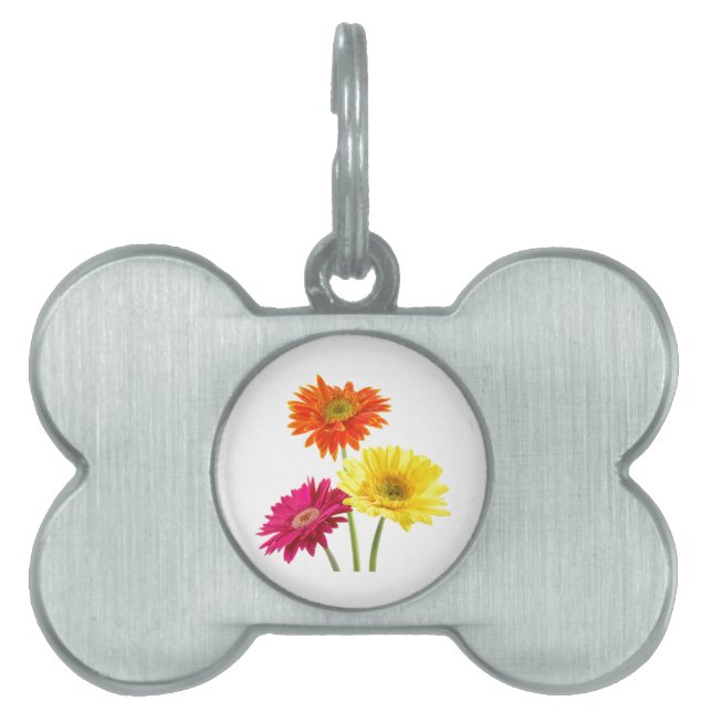 Gerbera Daisy Namnbricka Husdjur (Framsidan)