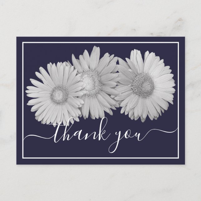 Gerbera Daisy Navy Bakgrund Tack Vykort (Framsida)