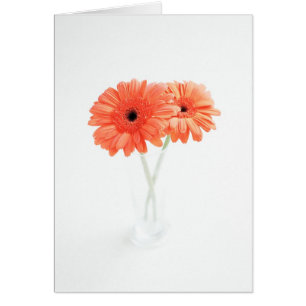 Gerbera Daisy, Orange Hälsningskort