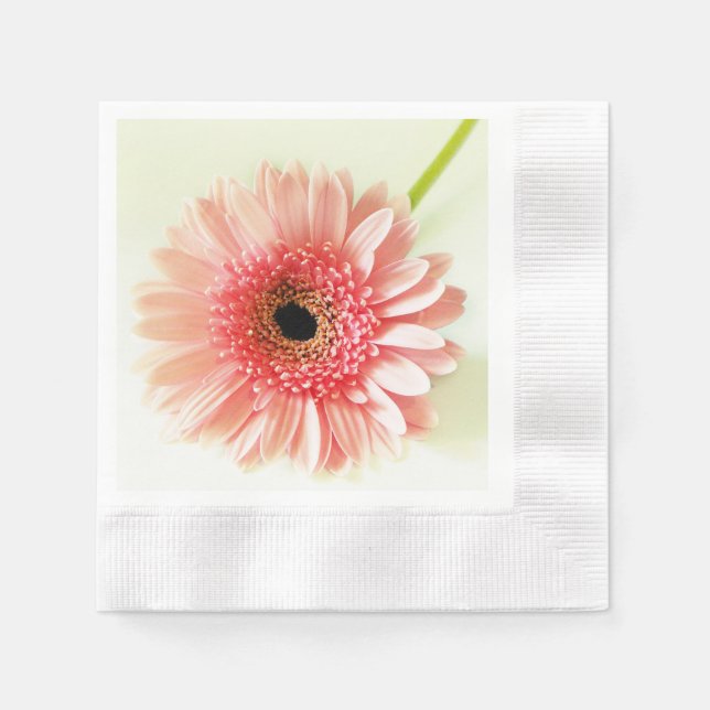 Gerbera Daisy Pappersservett (Framsidan)