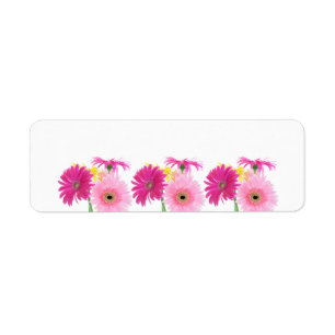Gerbera Daisy Piink Flowers Returadress Etikett