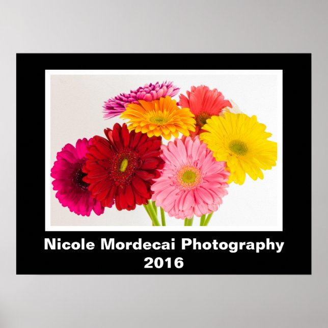Gerbera Daisy Poster (Framsidan)