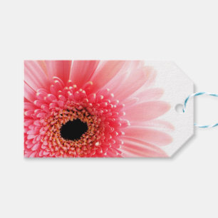 Gerbera Daisy Poster Presentetikett