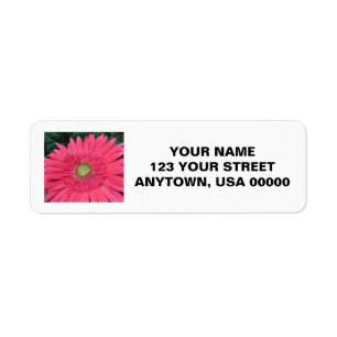 Gerbera Daisy Returadress Etikett