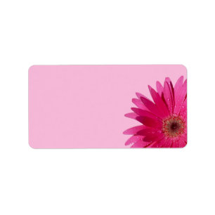 Gerbera Daisy Rosa Background Bröllop Blank Adressetikett