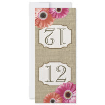 Gerbera Daisy Rosa och Korall Bordskort