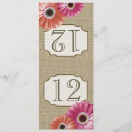 Gerbera Daisy Rosa och Korall Bordskort