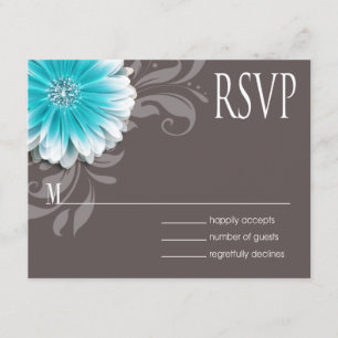 Gerbera Daisy Rulla 1 OSA teal chalkboard Kort