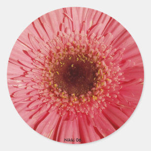 Gerbera Daisy Sticker Runt Klistermärke