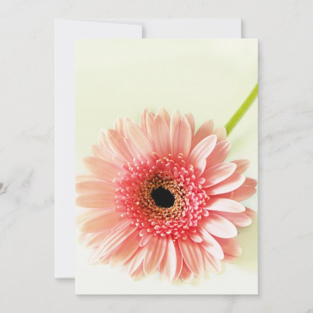 Gerbera Daisy Tack Kort (Framsida)