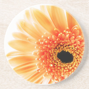 Gerbera Daisy Underlägg Sandsten