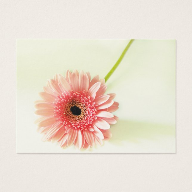 Gerbera Daisy Visitkort (Framsidan)