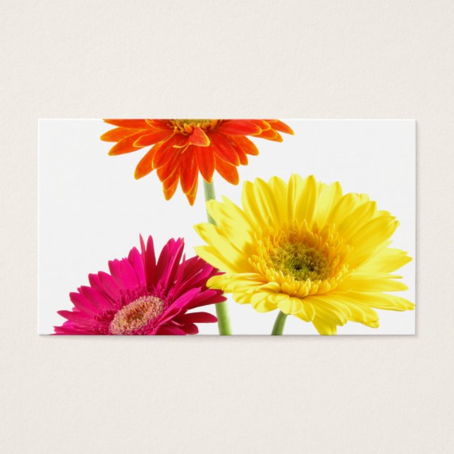 Gerbera Daisy Visitkort (Framsidan)