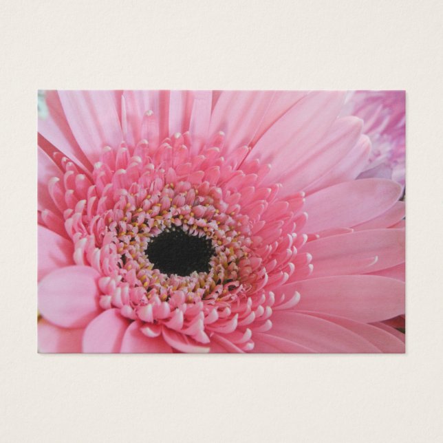 Gerbera Daisy Visitkort (Framsidan)