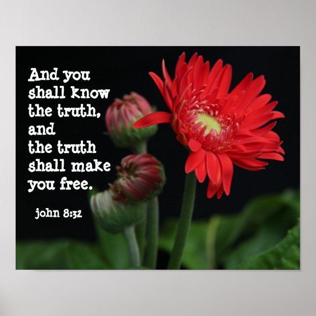 Gerbera Daisy w/ Scripture Verse (john 8:32) Poster (Framsidan)