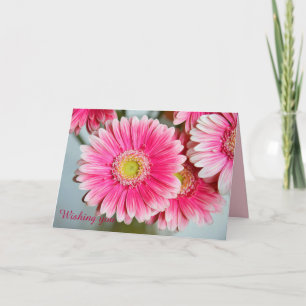 Gerbera Daisys & anpassningsbar Text födelsedagsko Kort