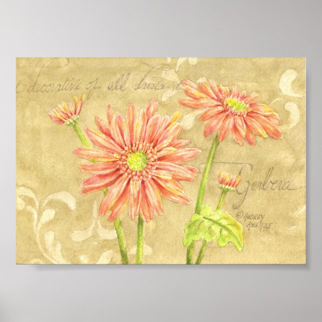 Gerbera Daisys Garden Notes Poster 7 x 5 (Framsidan)