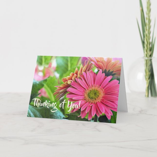 Gerbera Daisys Greeting Card Kort (Framsida)