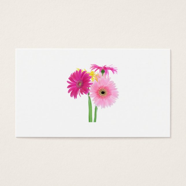 Gerbera Daisys Rosa Visitkort (Framsidan)