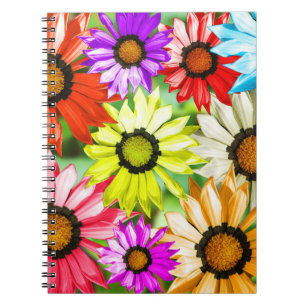 Gerbera färgade blommor anteckningsbok