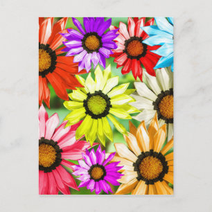 Gerbera färgade blommor vykort