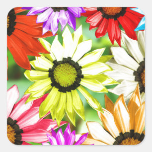 Gerbera färglös blommigt fyrkantigt klistermärke