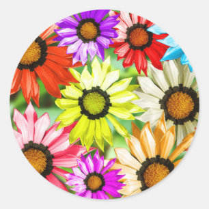 Gerbera färglös blommigt runt klistermärke