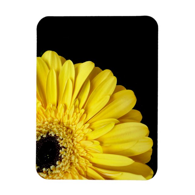 Gerbera Flower Magnet (Vertikal)