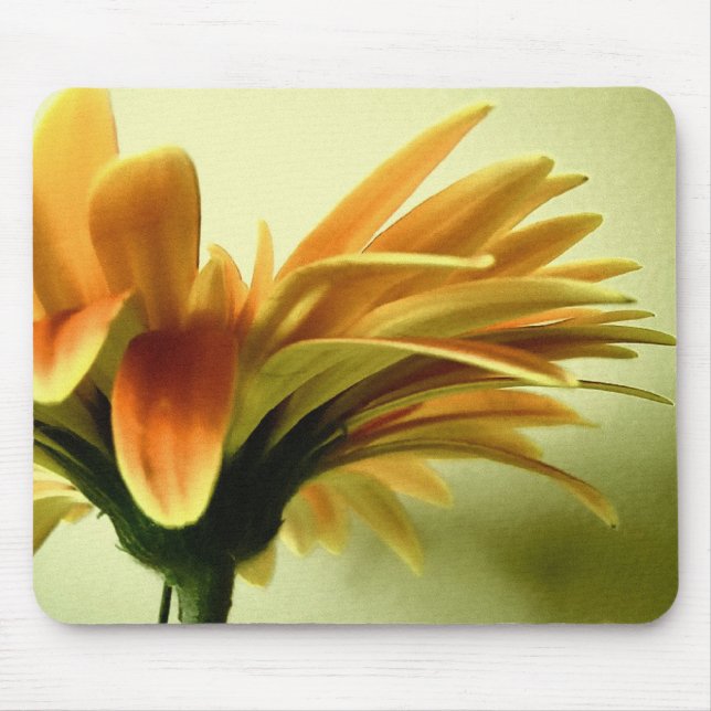 Gerbera Flower Mousepad Musmatta (Framsidan)