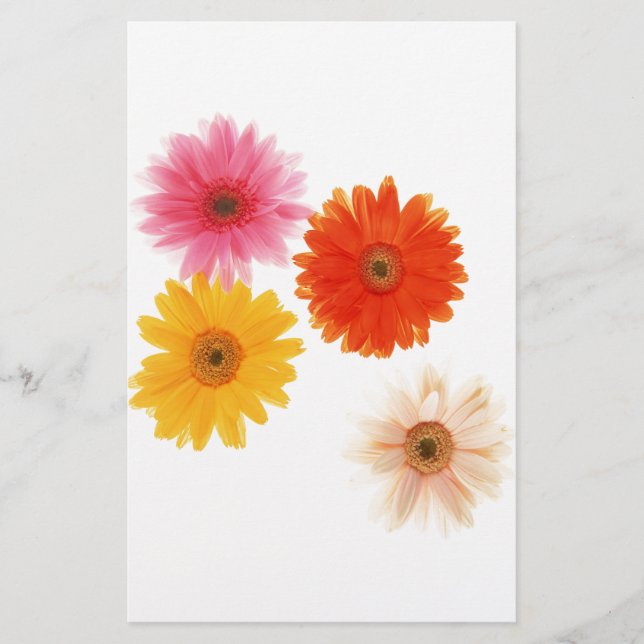 Gerbera Flowers Skriv ut Blommigten Flytande blomm (Framsida)