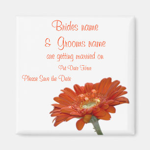 Gerbera för orange daisy för bröllop spara magnet