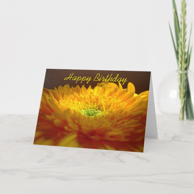 Gerbera Grattis på födelsedagen Card Kort (Framsida)