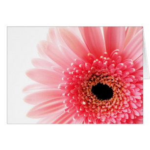 Gerbera Hälsningskort