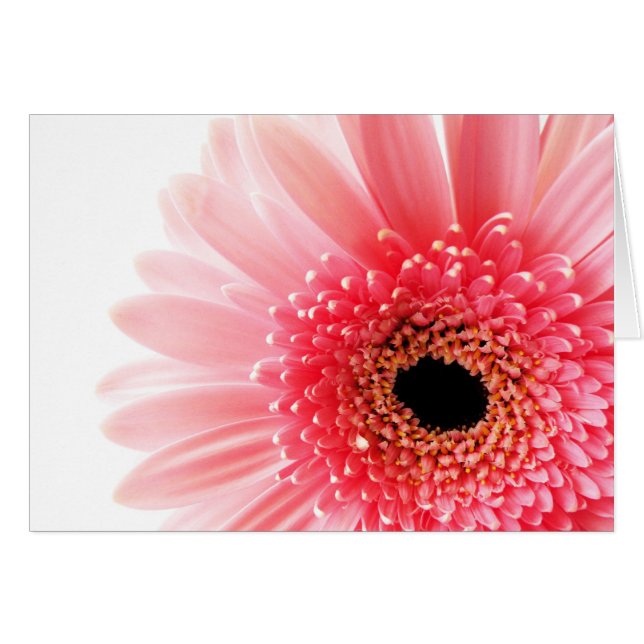 Gerbera Hälsningskort (Framsidan Horizontal)