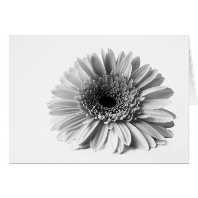 Gerbera Hälsningskort (Framsidan Horizontal)