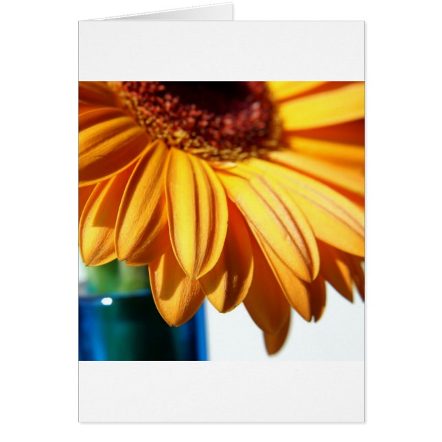 Gerbera i Blue Vas Hälsningskort (Framsidan)
