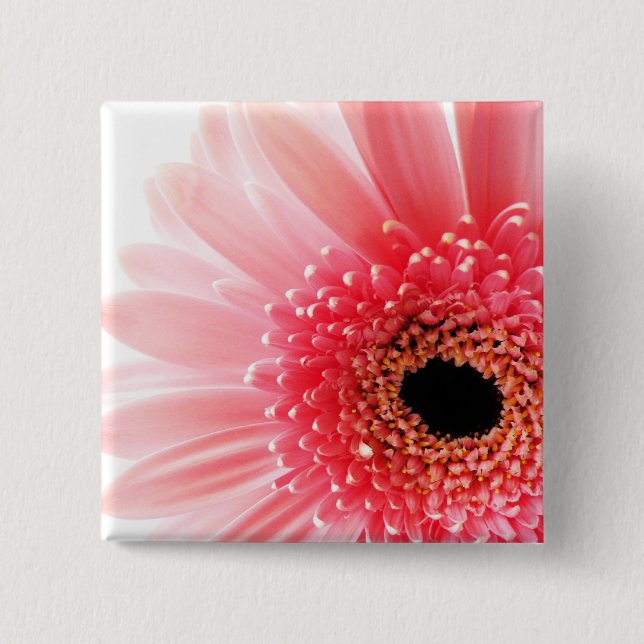 Gerbera Knapp (Framsida)