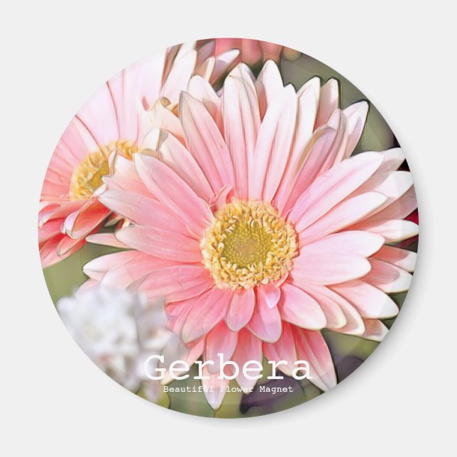 Gerbera Magnet (Framsidan)