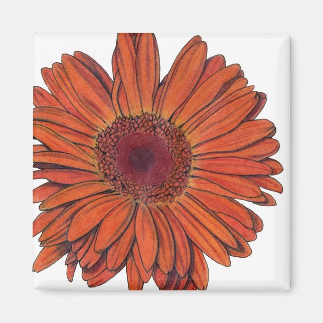 Gerbera Magnet (Framsidan)